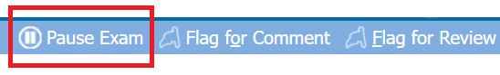 Image showing "Pause Exam" option