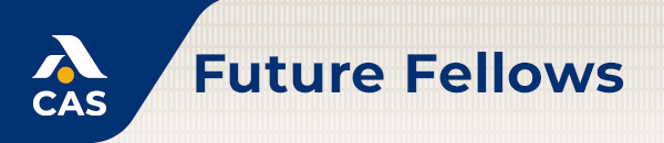 Future Fellows Banner - gray background with blue lettering