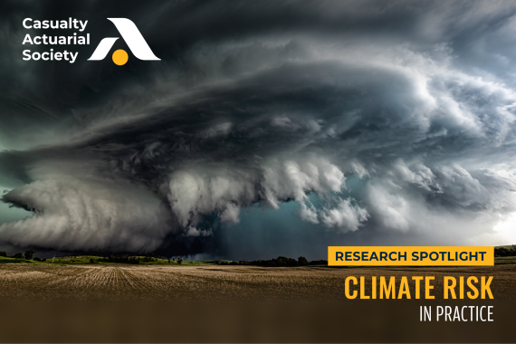 Climate Risk in Practice