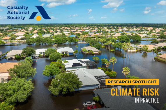 Climate Risk in Practice