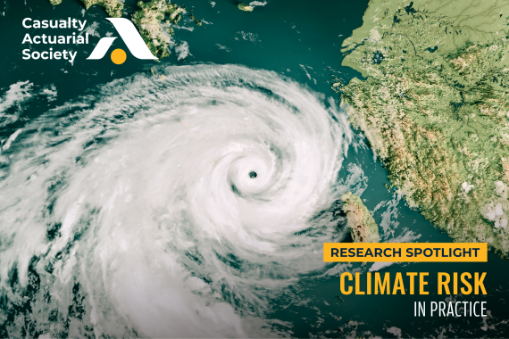 Climate Risk in Practice