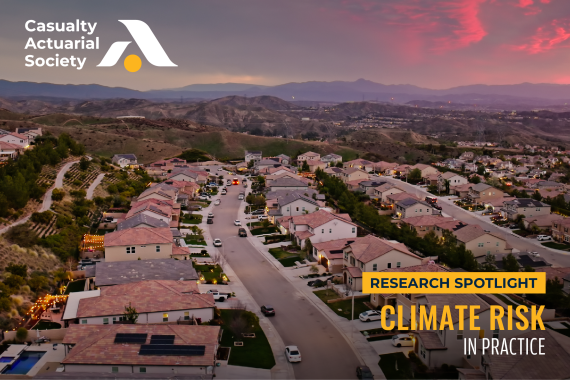 Climate Risk in Practice