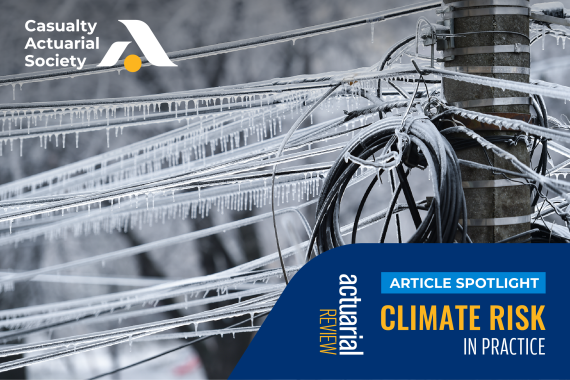 Climate Risk in Practice