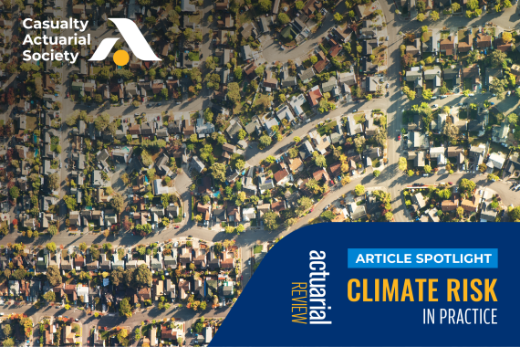 Climate Risk in Practice