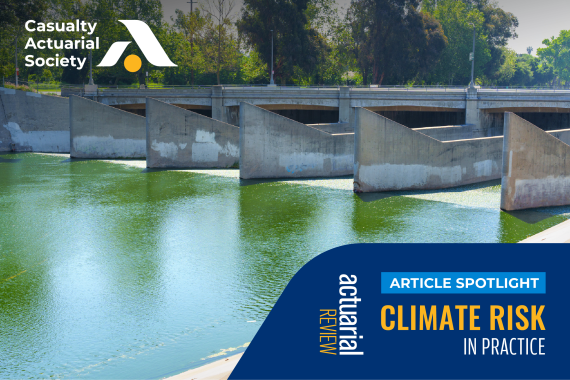 Climate Risk in Practice