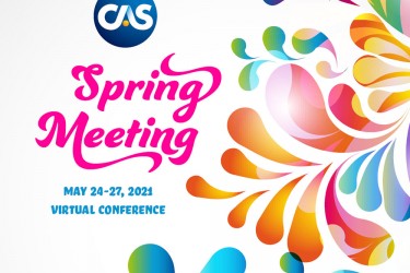 2021 Spring Meeting Artwork