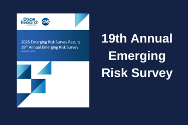 Emerging Risk Survey