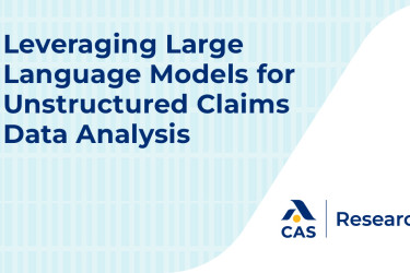 Leveraging Large Language Models